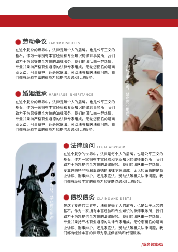 综合性律师事务所公司画册制作 - 第7页