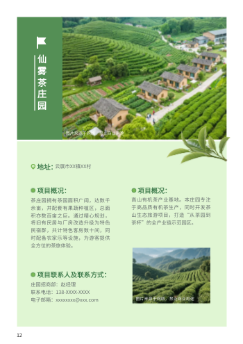 茶园茶庄项目招商宣传册模板 - 第12页