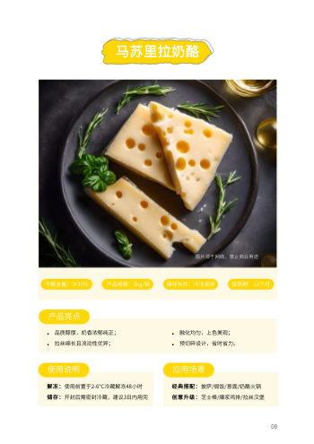 乳制品奶酪黄油产品画册模板 - 第9页