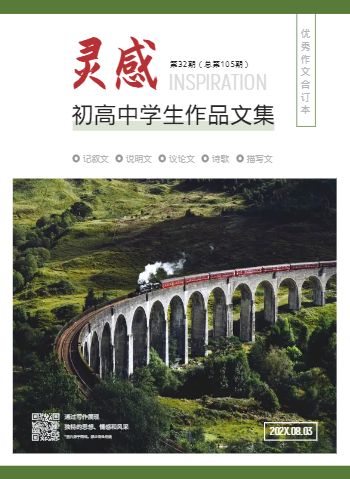 中高年级学生精选作文集