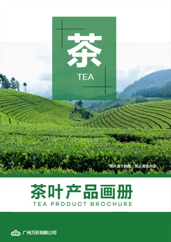 酒水茶叶产品目录设计模板