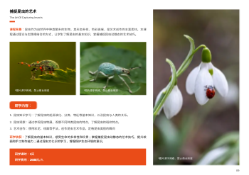 研学实践研学课程产品横版画册制作 - 第9页