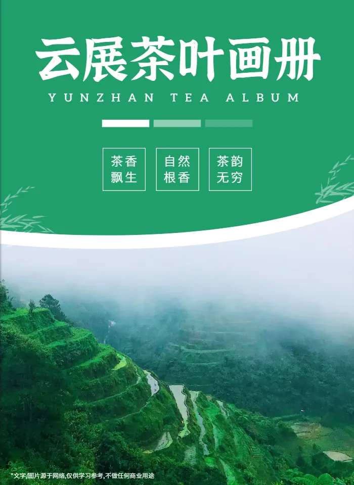 茶叶产品画册模板