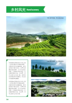 绿色生态农庄乡村旅游攻略制作 - 第4页