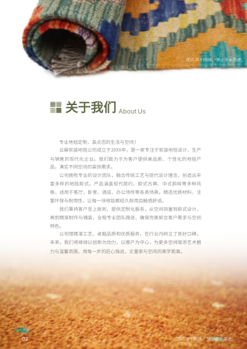 家用地毯茶几沙发毯产品画册设计 - 第2页