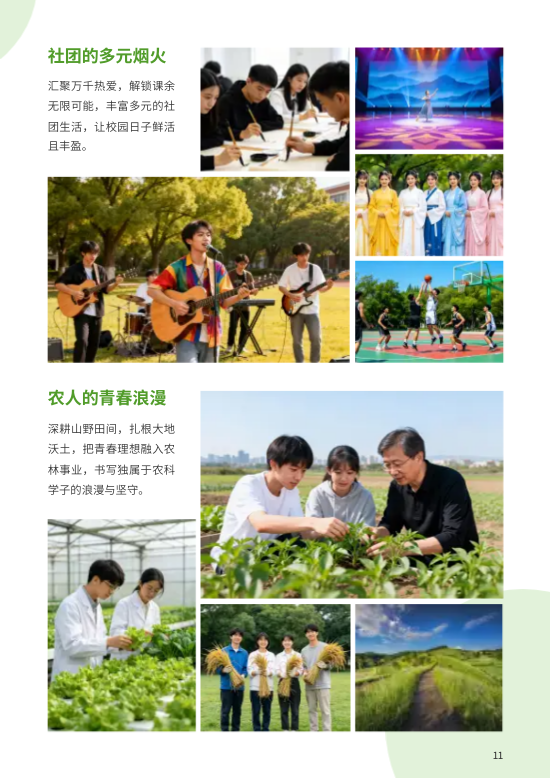 林业大学报考志愿填报指南模板 - 第11页