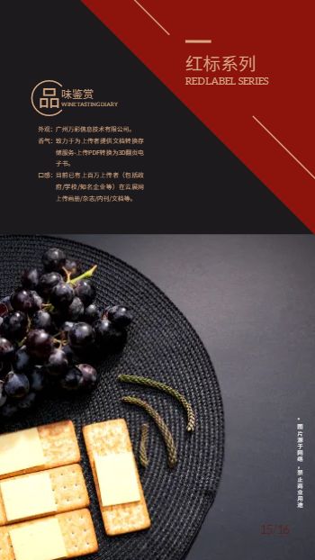 黑金香槟红葡萄酒产品宣传画册模板 - 第19页