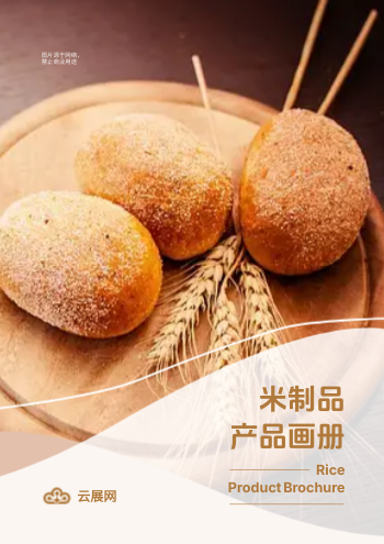 米制品发酵食品产品画册