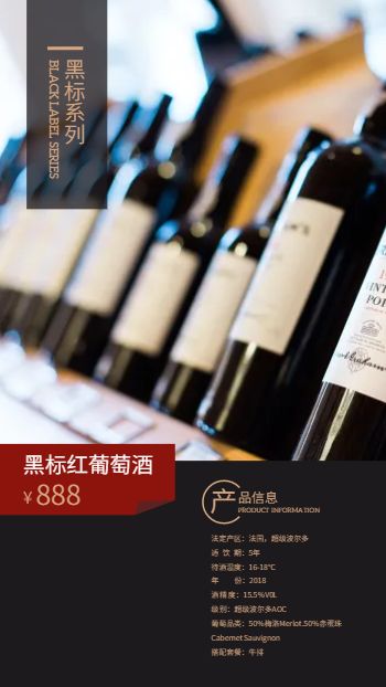 黑金香槟红葡萄酒产品宣传画册模板 - 第12页