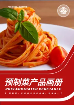 预制菜简餐料理包产品画册