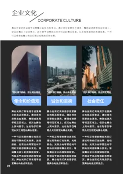 酒吧氛围灯舞台灯产品画册模板 - 第4页