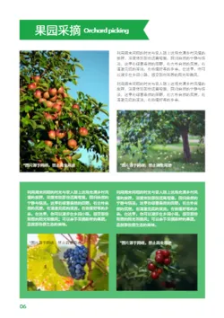 绿色生态农庄乡村旅游攻略制作 - 第6页