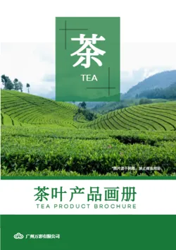 当季新茶普洱茶茶叶产品画册设计 - 封面预览