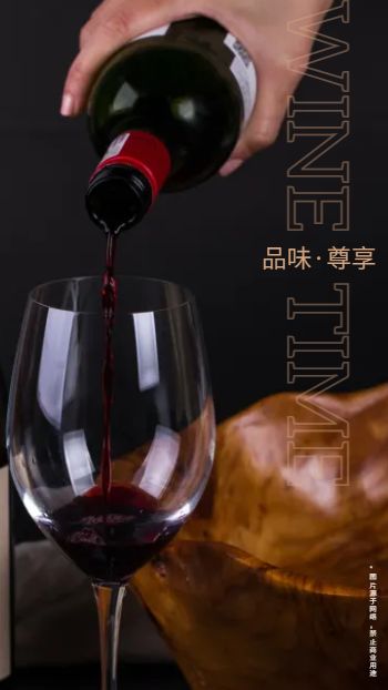 黑金香槟红葡萄酒产品宣传画册模板 - 第3页