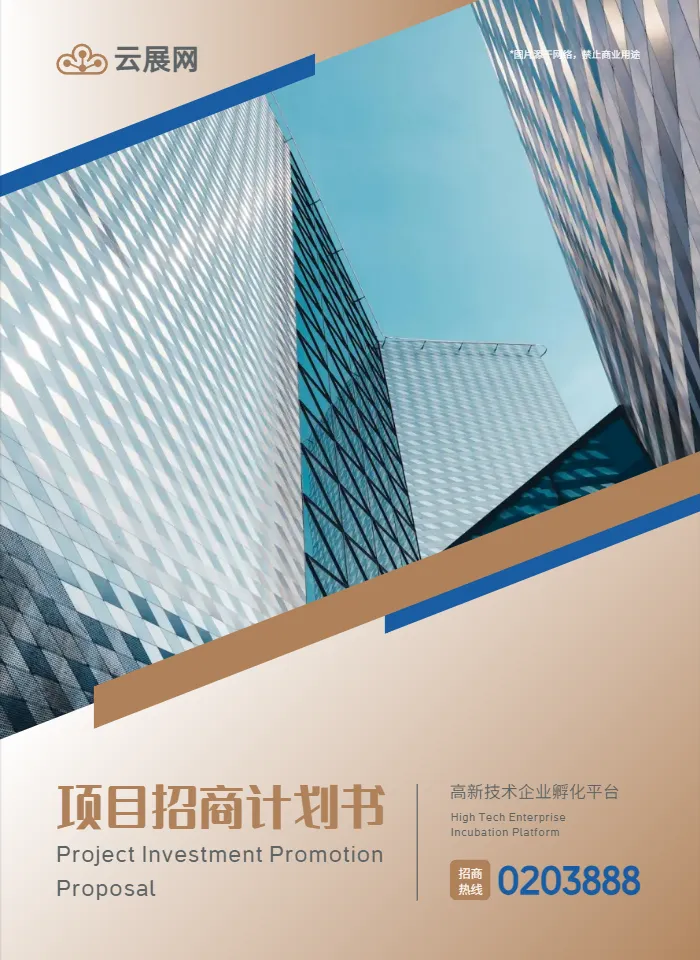 商务企业通用项目招商计划书模板