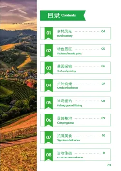 绿色生态农庄乡村旅游攻略制作 - 第3页