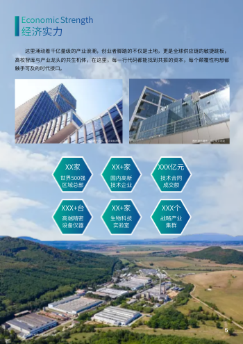 创新地区人才引进计划手册模板 - 第5页