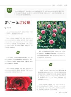 中高年级学生精选作文集模板 - 第9页