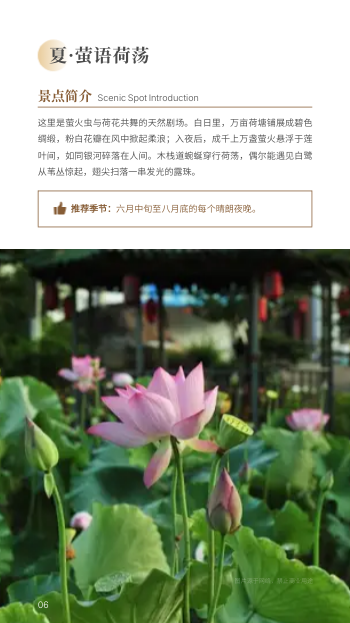 生态旅游乡村旅游指南设计 - 第6页