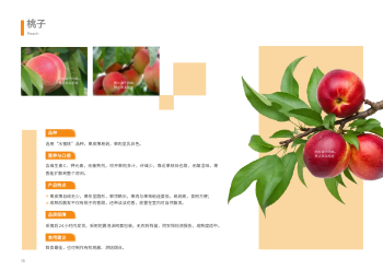新鲜瓜果蔬菜农产品横版画册设计 - 第18页