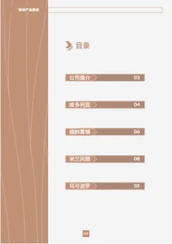 室内装潢板材定制产品画册模板 - 第2页