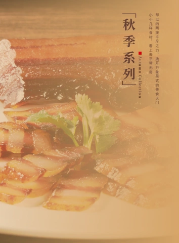 第10页缩略图