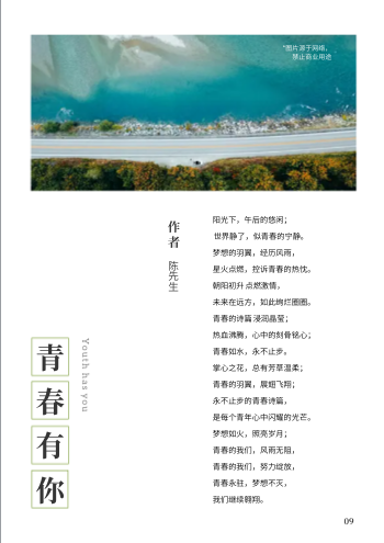 简约现代散文青春诗文集模板 - 第9页