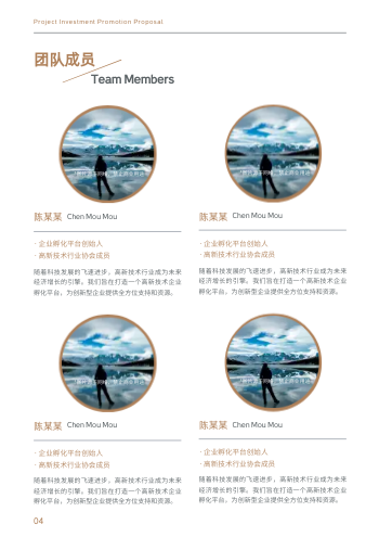 商务企业通用项目招商计划书模板 - 第4页