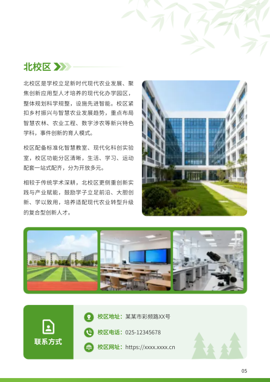 林业大学报考志愿填报指南模板 - 第5页