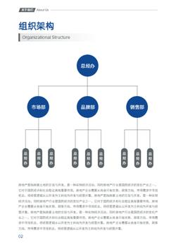 商业房地产开发企业宣传册设计 - 第4页