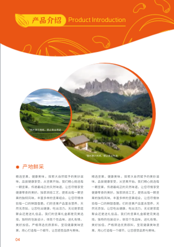 健康零食核桃坚果产品画册制作 - 第4页