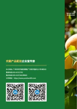 新鲜农副食材配送企业宣传册设计 - 封底预览