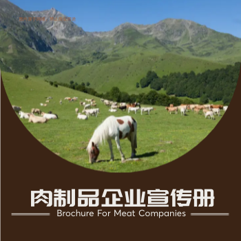肉食批发肉业公司方版画册制作 - 封面预览