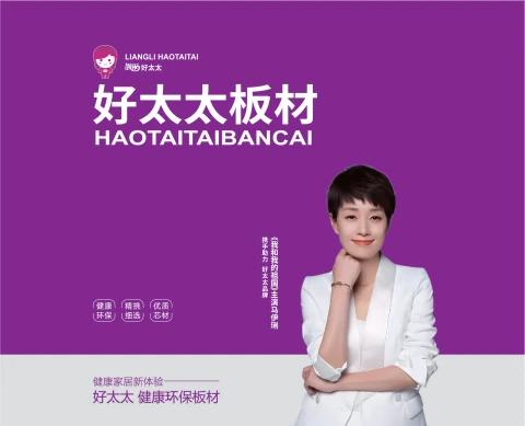 好太太板材电子宣传册