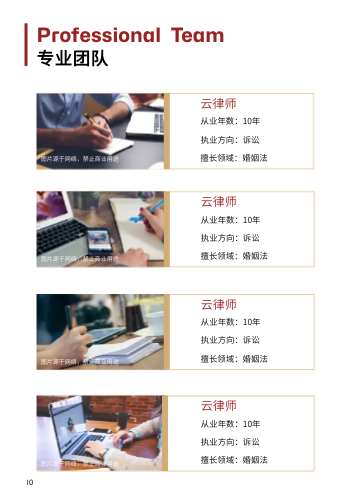 法律案件诉讼法律事务所画册模板 - 第10页