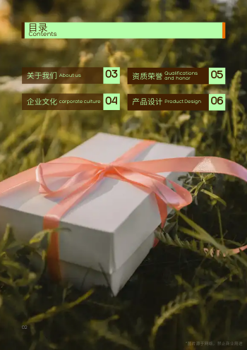 包装印刷包装设计企业画册模板 - 第2页