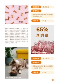 萌宠零食宠物食品产品画册模板 - 第7页
