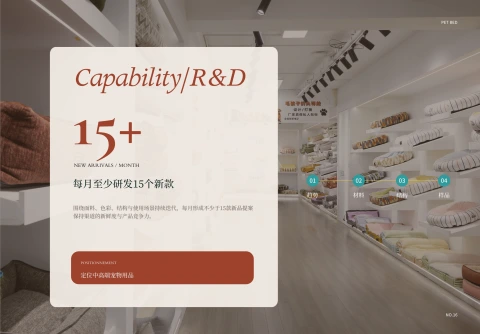 第17页缩略图