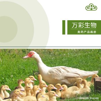 绿色养殖业禽药产品宣传册