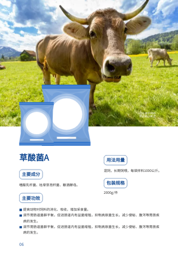 兽用生物制品药品产品画册设计 - 第6页
