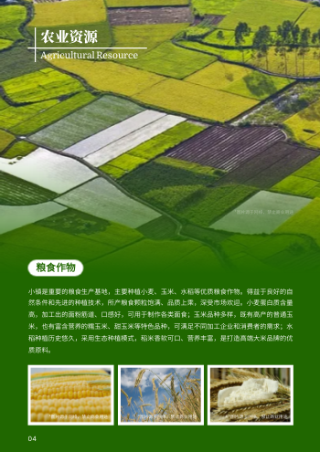 简约特色旅游小镇招商画册设计 - 第4页