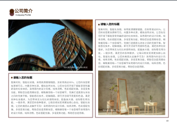 带灯梳妆台化妆镜横版产品画册设计 - 第3页