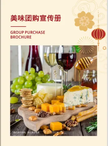 休闲食品团购产品宣传画册模板