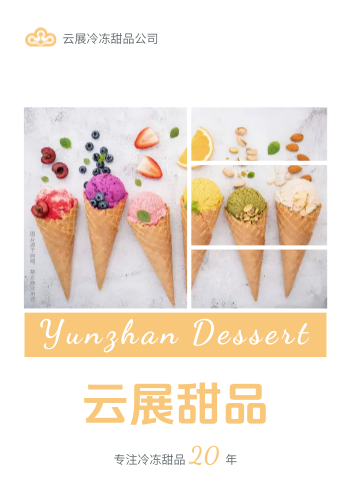 网红雪糕冷冻甜品产品画册设计 - 封面预览
