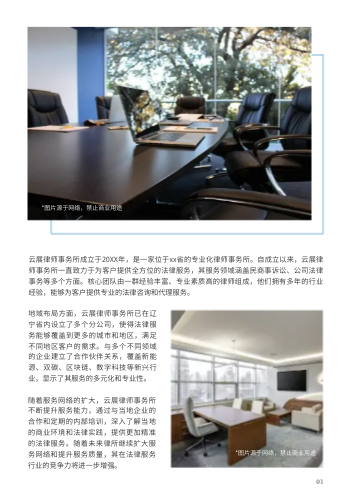法律服务机构律所企业画册模板 - 第3页