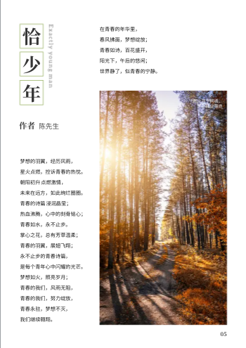 简约现代散文青春诗文集模板 - 第5页