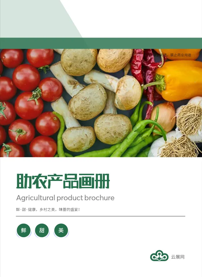 农产品产品画册模板