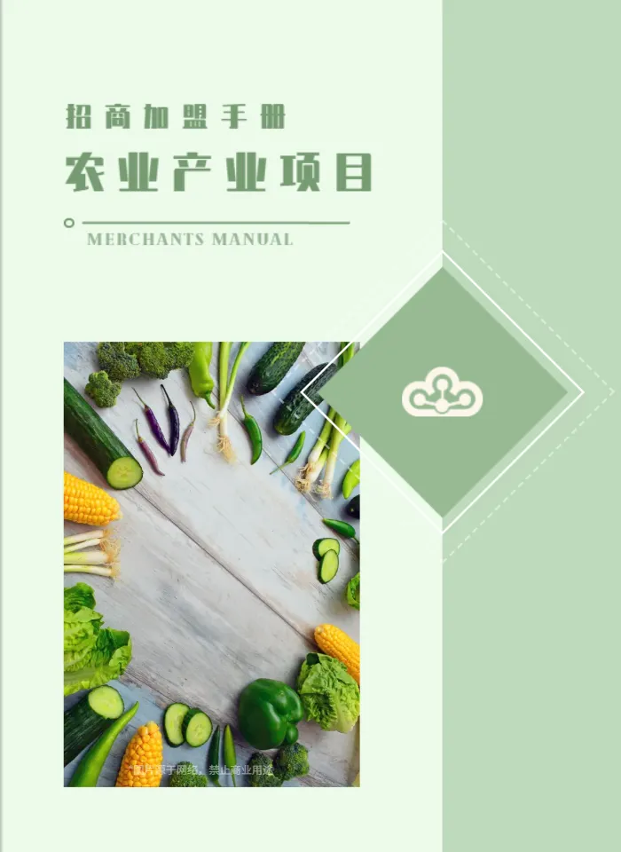 农业项目加盟手册模板