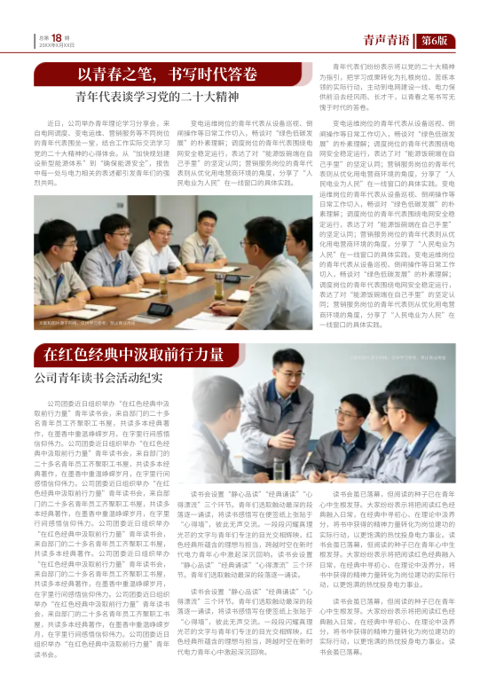 电力企业文化支部建设党建报模板 - 第11页