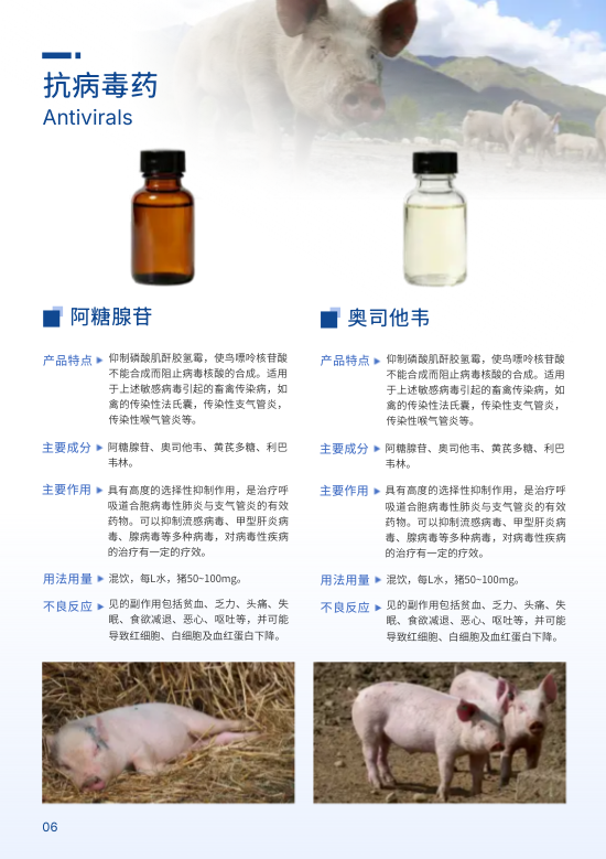 动物专用兽药猪药产品宣传册制作 - 第6页